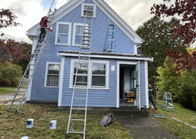 experienced painters